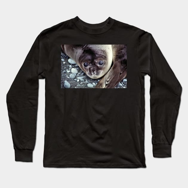 Babies, Nose to Tail. Southern Elephant Seal Pups, Macquarie Island Long Sleeve T-Shirt by Carole-Anne